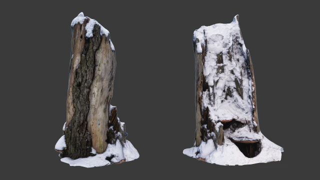 stomp met sneeuw 3D Model .c4d .max .obj .3ds .fbx .stl .blend 