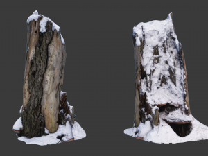 stump with snow 3D Model
