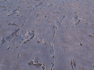 white plaster cracked Texturas CG