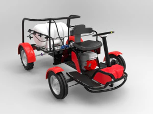 semb abierta Model 3D