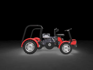 semb abierta Model 3D