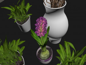 of pool appearance in modern villa Model 3D
