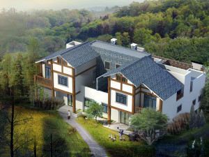 two and a half storey villa 3Dモデル