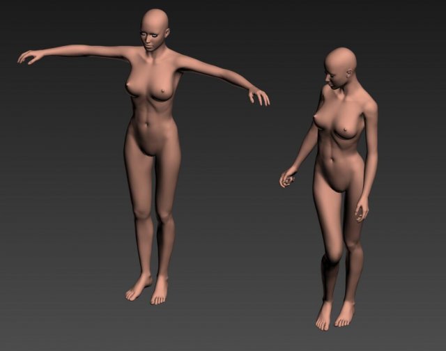 female model 3D 模型 .c4d .max .obj .3ds .fbx .stl .blend 