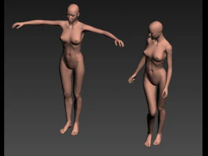 женская модель 3D Модель