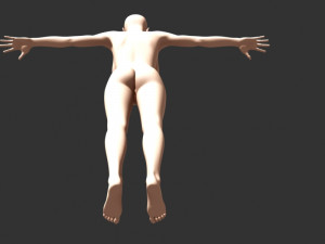 beauty 3D 模型