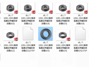 framework type rubber sealing ring for vacuum jb t1091-1991 12 specifications in total 3D Model