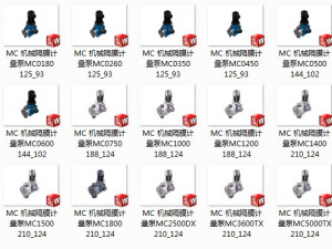 mc mechanical diaphragm metering pump 15 specifications in total 3D 모델