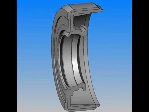 seal tc framework oil seal 126 specifications in total 3D Model