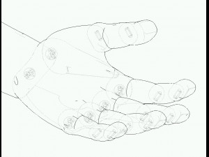 human-left-hand Modelo 3D