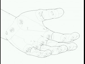 human-left-hand 3D Model