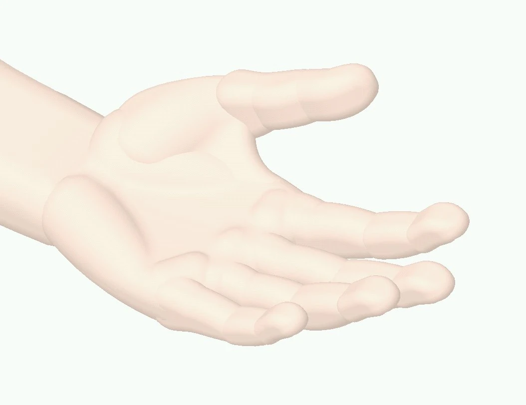 human-left-hand 3D Model .c4d .max .obj .3ds .fbx .stl .blend 