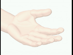 human-left-hand 3D Model