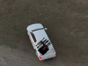 Pickup trucks 3D मॉडल