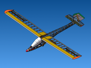 Remote control glider 3D Model