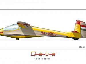 Remote control glider 3D Model