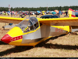 Remote control glider 3D Model