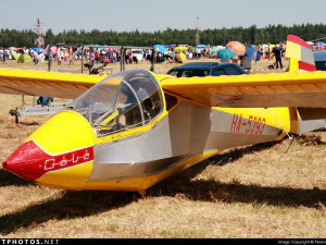 Remote control glider 3D Model