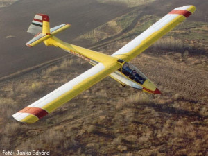Remote control glider 3D Model