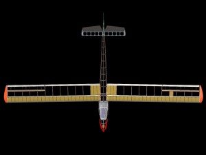 Remote control glider 3D Model