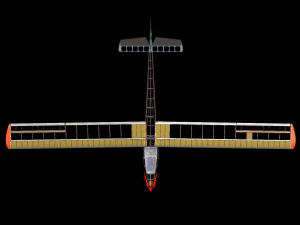 Remote control glider 3D Model