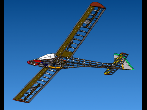 Remote control glider 3D Model