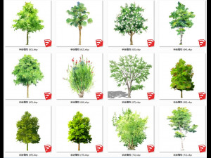 Garden plant hand-painted arbor SU model collection 100 Modello 3D