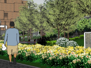 Park Landscape Model SU 3D Модель