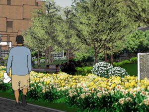 Park Landscape Model SU 3D Model