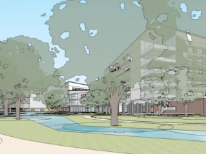 Bidding scheme of a food and drug college 3D Model