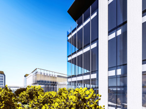 Building SU Model of Investment Promotion Industrial Park 3D Model