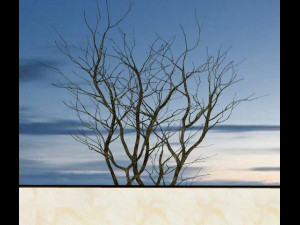 SU Model of Landscape Wall with artistic characteristics 3D मॉडल