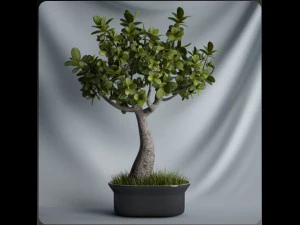 20 sets of C4D plants 3D Model