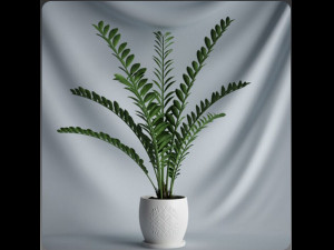 20 sets of C4D plants 3Dモデル