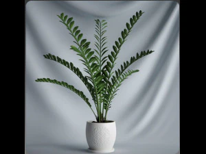 20 sets of C4D plants 3D Model