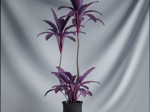 20 sets of C4D plants 3Dモデル
