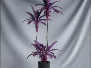 20 sets of C4D plants 3D Model