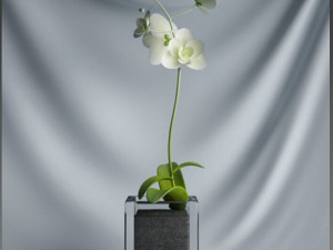 20 sets of C4D plants 3Dモデル