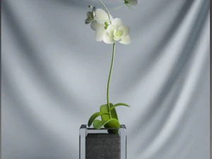 20 sets of C4D plants 3D Model