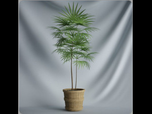 20 sets of C4D plants 3Dモデル