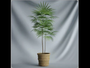 20 sets of C4D plants 3D Model
