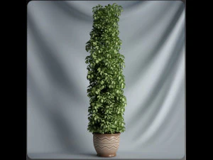 20 sets of C4D plants 3D Model