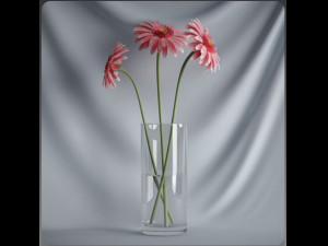 20 sets of C4D plants 3Dモデル