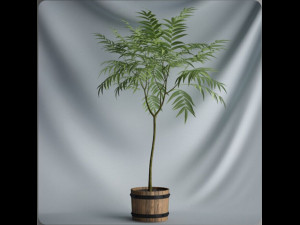 20 sets of C4D plants 3Dモデル