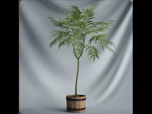 20 sets of C4D plants 3D Model