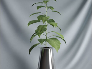 20 sets of C4D plants 3Dモデル