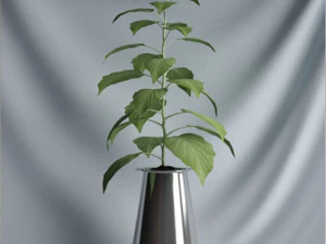 20 sets of C4D plants 3D Model