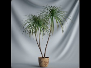 20 sets of C4D plants 3Dモデル