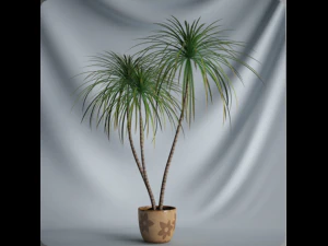 20 sets of C4D plants 3D Model