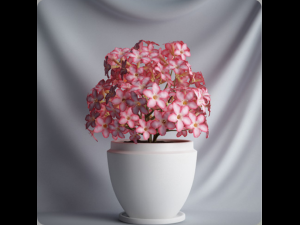 20 sets of C4D plants 3Dモデル